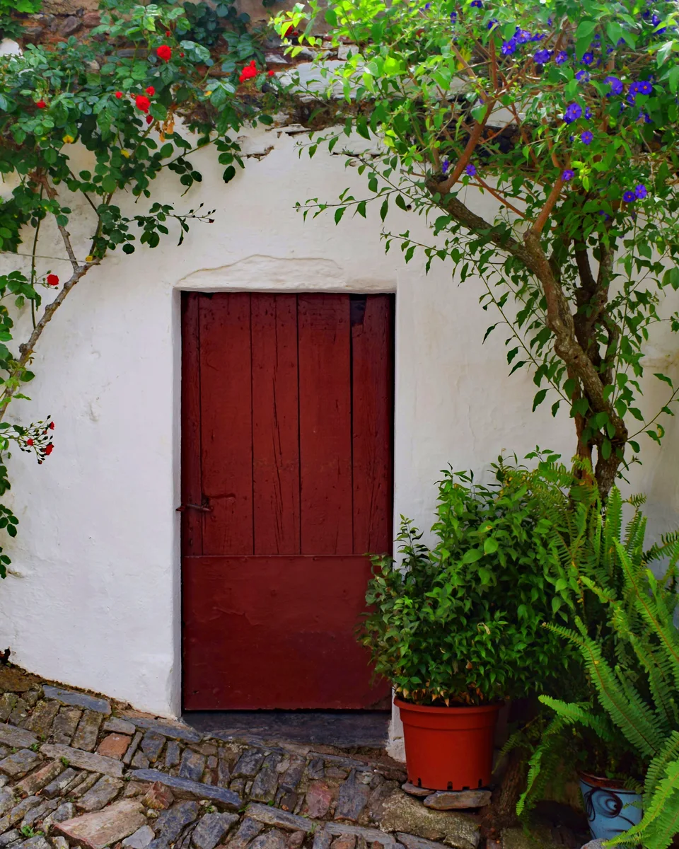 A whitewashed village house in Monsaraz, Alentejo, roses climbing over its oxblood door