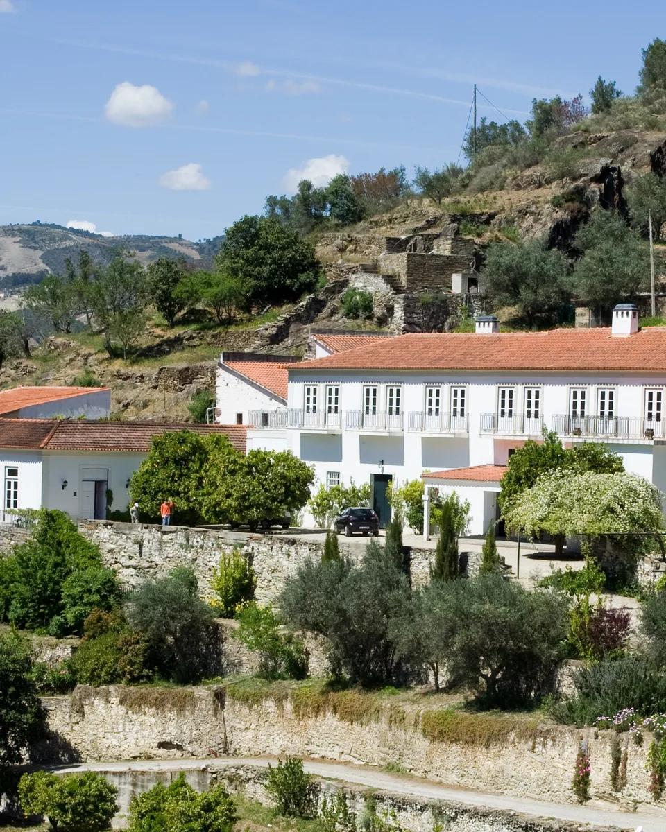 The white manor house of a Douro quinta amid its walled garden terraces and orange trees
