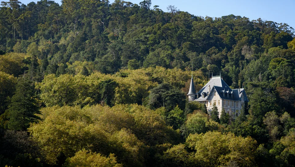 A turreted house rising out of the forested hills of Sintra